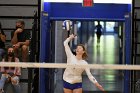 VB vs RIC  Wheaton Women's Volleyball vs Rhode Island College. - Photo by Keith Nordstrom : Wheaton, Volleyball, VB